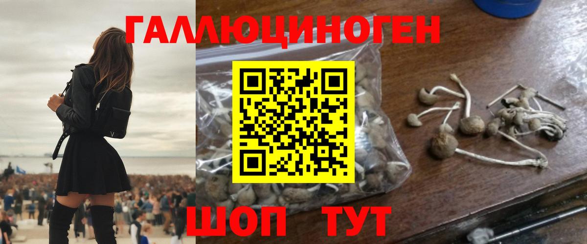 Псилоцибиновые грибы мухоморы  купить  сайты  Коркино  Вход с VPN 